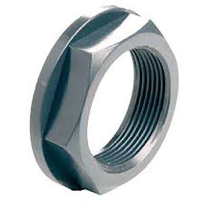 Stainless Steel Flange Backnuts
