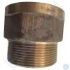Brass threaded pipe fitting with hex top