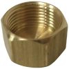 Brass female threaded hex cap fitting