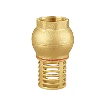 Brass foot valve with threaded top and strainer