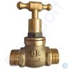 Brass gate valve with threaded pipe connections