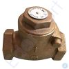 Brass threaded check valve with hexagonal cap