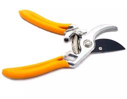Orange-handled garden secateurs on white background